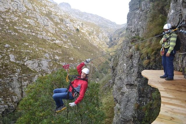 Ziplining in Elgin Valley